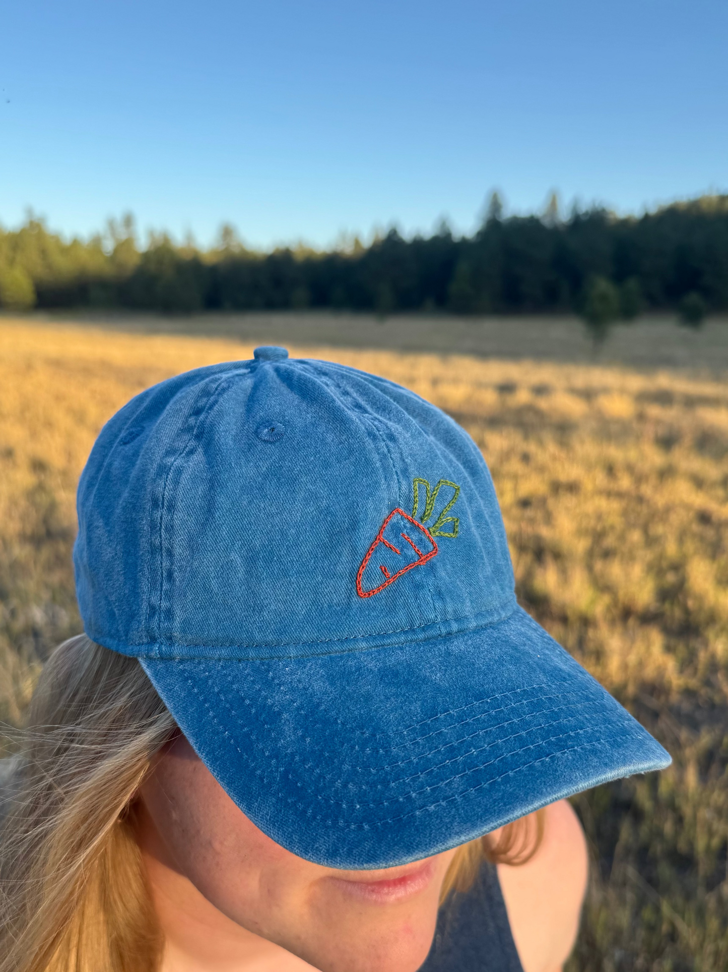 Carrot Hat